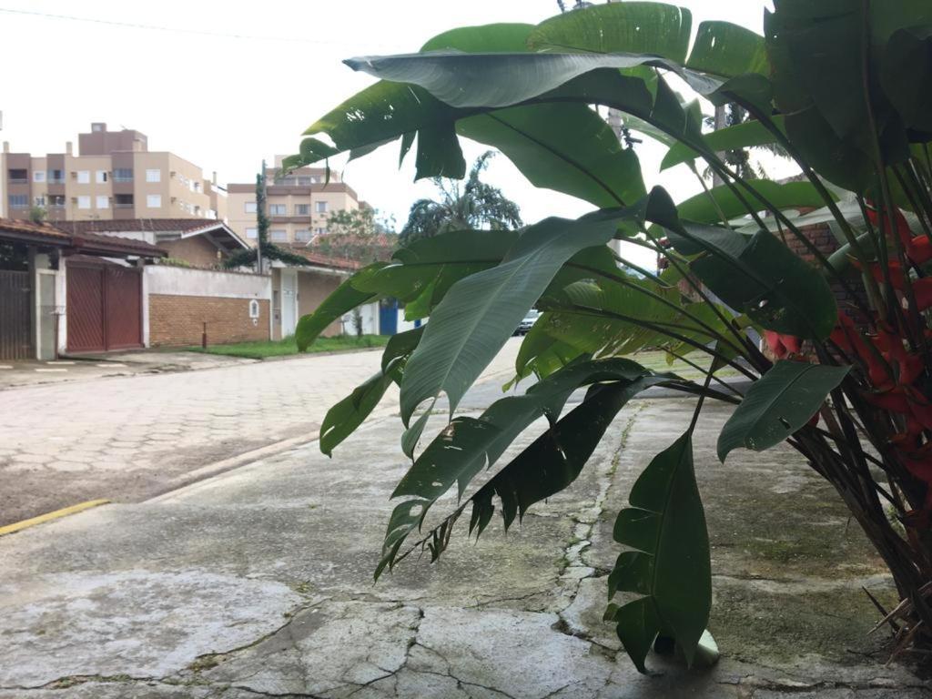 Efferus Hostel Ubatuba Exteriér fotografie